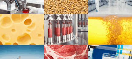 FOOD H Intergrund Website 20220802 WEB