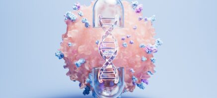 Lymphozyten shutterstock 2480363031