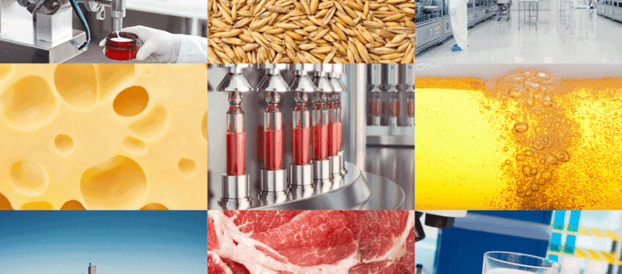 FOOD H Intergrund Website 20220802 WEB