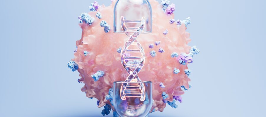 Lymphozyten shutterstock 2480363031
